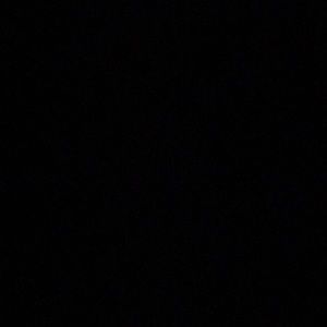 Meet your Posher, Lenny